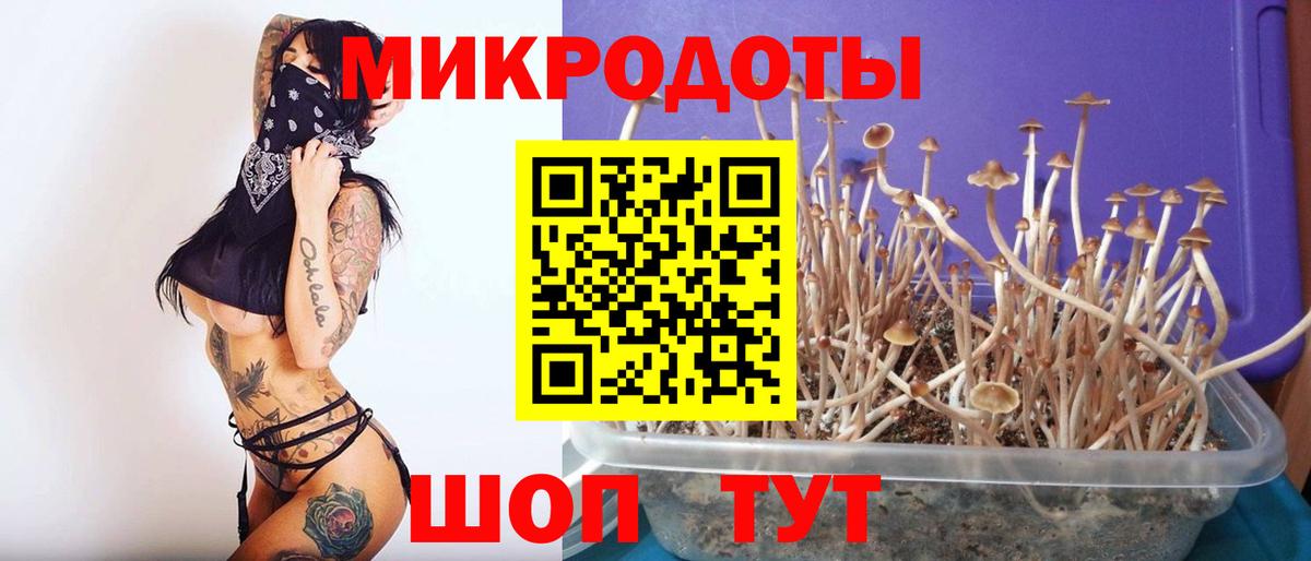 Галлюциногенные грибы Cubensis  Вход с VPN  Прокопьевск  Псилоцибиновые грибы ЛСД 