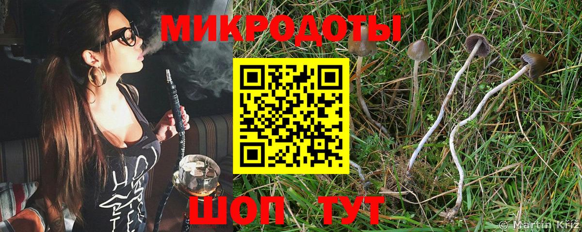 Псилоцибиновые грибы MAGIC MUSHROOMS Прокопьевск
