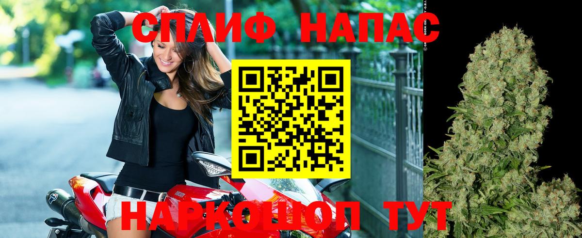 Каннабис сатива Прокопьевск